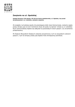 Zwężenie na ul. Opolskiej