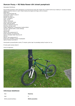 Duncon Pussy + RS Reba Rower dirt street