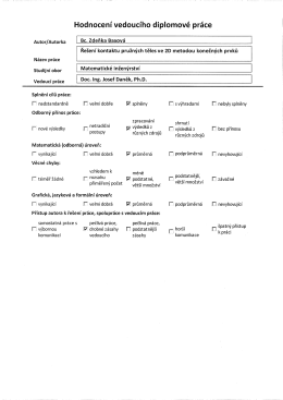 Hodnocení vedoucího diplomové práce