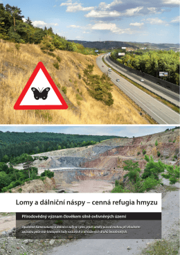Lomy a d&aacute;lničn&iacute; n&aacute;spy &ndash; cenn&aacute; refugia hmyzu