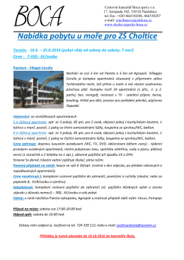 Informačn&iacute; let&aacute;k