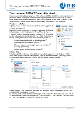 Newsletter RIBTEC ® RTreport