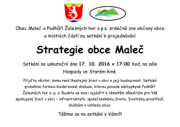 Strategie obce Maleč