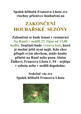 viz plak&aacute;t