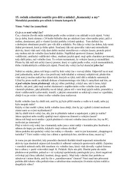 Metodické pokyny kategorie B, téma: Volný čas