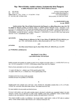 Dražebn&iacute; vyhl&aacute;&scaron;ka