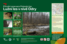 Lužn&iacute; les v nivě Odry 212 &ndash; 217 m nm / 59,17 ha Polansk&yacute; les