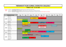 TRÉNINKOVÝ PLÁN FLORBAL CHOMUTOV 2016/2017