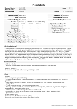 St&aacute;hnout jako PDF