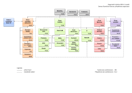 Organizační schéma DZR vč. úvazků Domov Slunečnice Ostrava