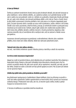 O čem je ŠVIHLA? Švihla je o jednom konkrétním
