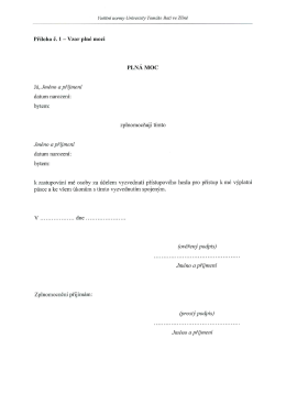 Př&iacute;loha č. 1