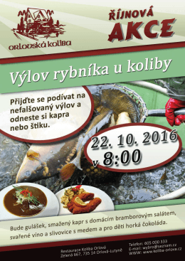 vylov rybnika