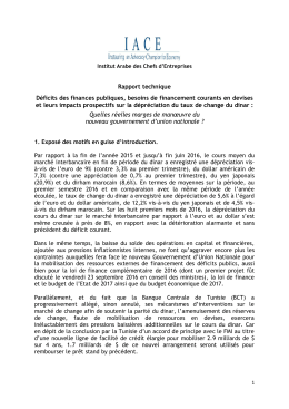rapport technique sur les marges de man&oelig;uvre du nouveau