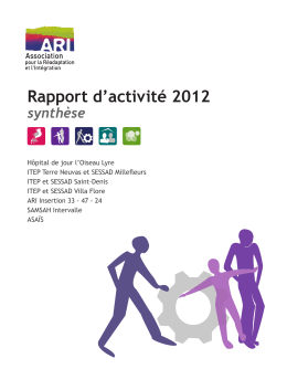 Rapport d`activit&eacute; 2012