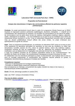 annonce en pdf