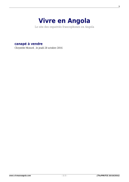 PDF - Vivre en Angola
