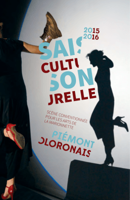 T&eacute;l&eacute;charger la plaquette 2016/2017 et le bulletin d`abonnement
