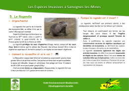 Le Ragondin - Sanvignes les Mines