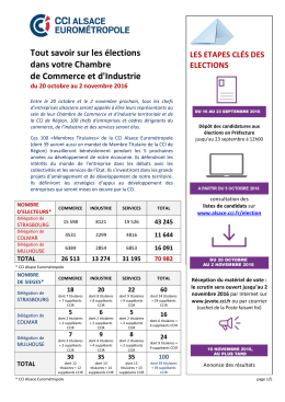 T&eacute;l&eacute;chargez l`explication d&eacute;taill&eacute;e sur les &eacute;lections
