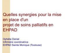 Quelles synergies pour la mise en place d`un projet de soins