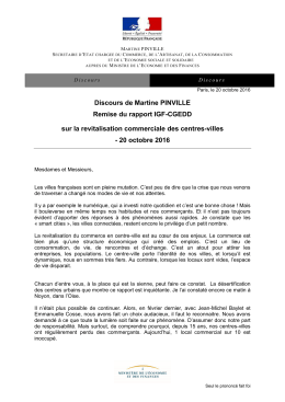 Discours de Martine PINVILLE Remise du rapport IGF