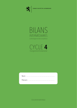 Bilans intermédiaires du développement des compétences