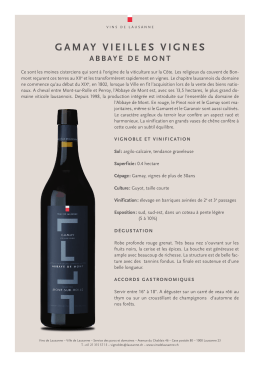 gamay vieilles vignes