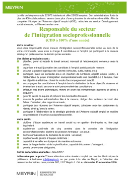 Responsable du secteur de l`int&eacute;gration socioprofessionnelle (CDD