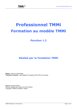 TMMi Professional v1.2 Frenchx