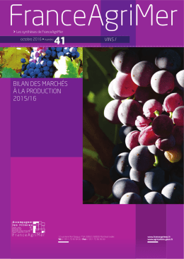 bilan des marchés à la production 2015/16