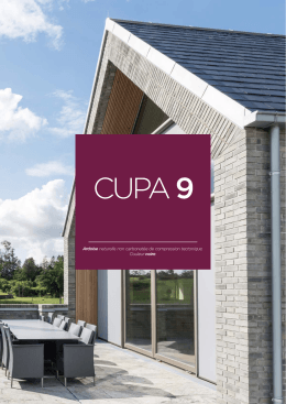 CUPA 9 - Cupa Pizarras