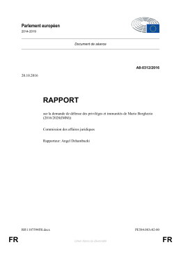 FR FR RAPPORT