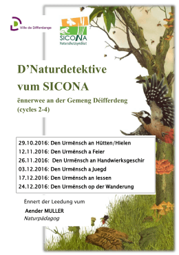 Flyer - Differdange