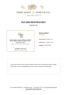 batard-montrachet - Domaine Pierre Morey