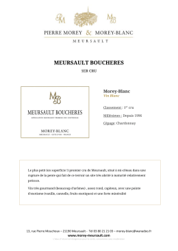 meursault boucheres - Domaine Pierre Morey