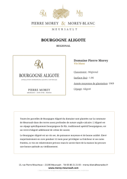 bourgogne aligote - Domaine Pierre Morey