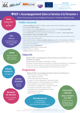 Oct. 2016 - juin 2017 - La Grand Combe : BEP Accompagnement