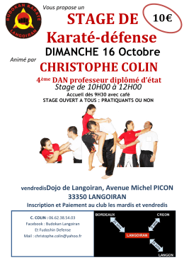 STAGE DE Karat&eacute;-d&eacute;fense