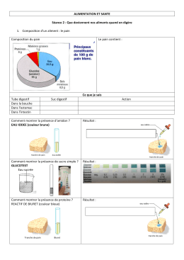 ALIMENTATION ET SANTE S&eacute;ance 2 : Que deviennent nos