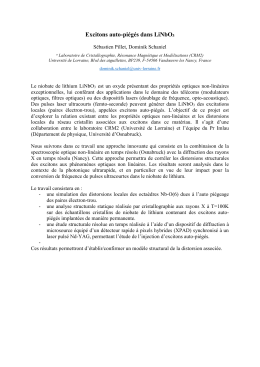 Excitons auto-piégés dans LiNbO3 - CRM2