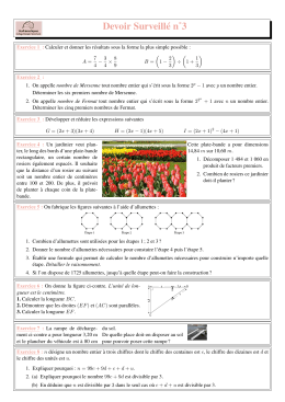 Devoir Surveillé n˚3 - maths