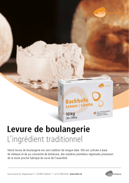 Sp&eacute;cification Levure de boulangerie