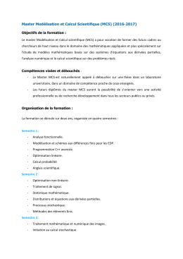 Master Modélisation et Calcul Scientifique (MCS) (2016