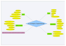 les stratÃ©gies d`apprentissage