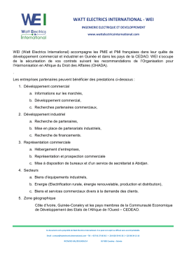 watt electrics international - wei