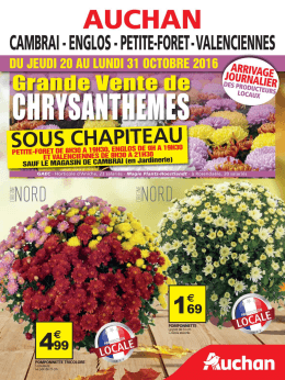 chrysanthèmes