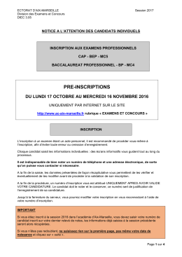 Notice candidat individuel 2017
