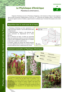 Fiche phytolaque