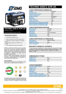 TECHNIC 6500 E AVR UK